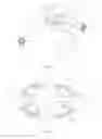 Fig. 03 - Horse bit