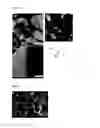 Fig. 08 - Preparation method of graphene