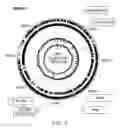 Fig. 05 - Cold temperature-resistant microbials and methods of their use