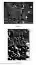 Fig. 02 - Ceramic composite and method to prepare the composite