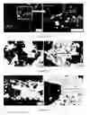 Fig. 08 - Ceramic composite and method to prepare the composite
