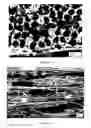 Fig. 12 - Ceramic composite and method to prepare the composite