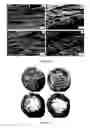 Fig. 13 - Ceramic composite and method to prepare the composite
