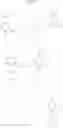 Fig. 37 - Process for Preparing N-(4-Cyclohexyl-3-trifluoromethyl-benzyloxy)-acetimidic Acid Ethyl Ester
