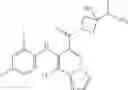 Fig. 302 - MEK Inhibitors And Methods Of Their Use