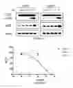 Fig. 09 - Bisaminoquinoline compounds, pharmaceutical compositions prepared therefrom and their use