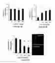 Fig. 15 - Bisaminoquinoline compounds, pharmaceutical compositions prepared therefrom and their use