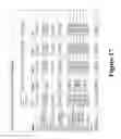 Fig. 26 - Bisaminoquinoline compounds, pharmaceutical compositions prepared therefrom and their use