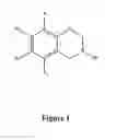 Fig. 02 - Continuous high shear reactor melt processing methods to synthesize heterocyclic monomers and compositions thereof