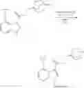 Fig. 293 - QUINUCLIDINE COMPOUNDS FOR MODULATING ALPHA7-NICOTINIC ACETYLCHOLINE RECEPTOR ACTIVITY