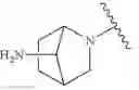 Fig. 148 - Bicyclic inhibitors of PAD4