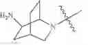 Fig. 154 - Bicyclic inhibitors of PAD4