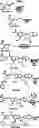 Fig. 543 - Bicyclic inhibitors of PAD4