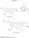 Fig. 551 - Bicyclic inhibitors of PAD4