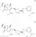 Fig. 16 - PREPARATION OF ERTAPENEM INTERMEDIATES