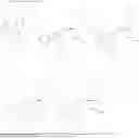Fig. 372 - Apelin receptor (APJ) agonists and uses thereof