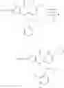 Fig. 141 - ESTER ACC INHIBITORS AND USES THEREOF