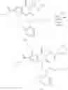 Fig. 147 - ESTER ACC INHIBITORS AND USES THEREOF