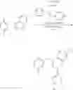 Fig. 64 - PROCESS FOR MAKING TETRACYCLIC HETEROCYCLE COMPOUNDS