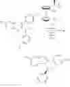 Fig. 84 - PROCESS FOR MAKING TETRACYCLIC HETEROCYCLE COMPOUNDS