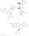 Fig. 85 - PROCESS FOR MAKING TETRACYCLIC HETEROCYCLE COMPOUNDS