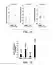 Fig. 02 - Compositions and methods for treating cancer with aberrant lipogenic signaling