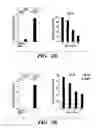 Fig. 07 - Compositions and methods for treating cancer with aberrant lipogenic signaling