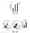 Fig. 09 - Compositions and methods for treating cancer with aberrant lipogenic signaling