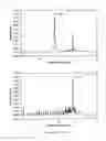 Fig. 08 - Methods for the preparation of a polyalkoxylated nucleic acid molecule