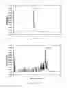 Fig. 12 - Methods for the preparation of a polyalkoxylated nucleic acid molecule