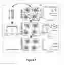 Fig. 02 - ANTIBODY PURIFICATION VIA AFFINITY CHROMATOGRAPHY