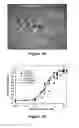 Fig. 03 - ANTIBODY PURIFICATION VIA AFFINITY CHROMATOGRAPHY
