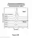 Fig. 13 - ANTIBODY PURIFICATION VIA AFFINITY CHROMATOGRAPHY