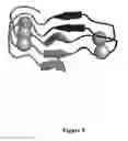 Fig. 07 - Precipitable peptides