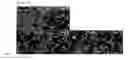 Fig. 03 - Peptides for promoting angiogenesis and use thereof