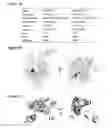 Fig. 03 - Antibacterial agents: salinamide derivatives