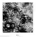 Fig. 05 - Method for enhancing immunogenicity of epitope peptide of HPV antigen, virus-like particle, and method for preparing HPV vaccine