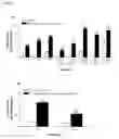 Fig. 10 - Esculentin-2CHa peptide and analogues thereof