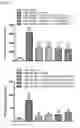Fig. 43 - Esculentin-2CHa peptide and analogues thereof