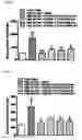 Fig. 45 - Esculentin-2CHa peptide and analogues thereof