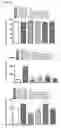 Fig. 48 - Esculentin-2CHa peptide and analogues thereof