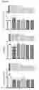 Fig. 50 - Esculentin-2CHa peptide and analogues thereof