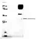 Fig. 11 - Chimeric inhibitor molecules of complement activation