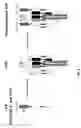Fig. 04 - Compositions and methods for TCR reprogramming using fusion proteins