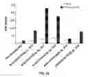 Fig. 26 - Compositions and methods for TCR reprogramming using fusion proteins