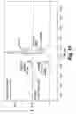 Fig. 12 - Fibronectin based scaffold proteins having improved stability