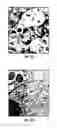 Fig. 09 - Vaccines and diagnostics for the ehrlichioses