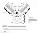 Fig. 01 - Immunoglobulins and variants directed against pathogenic microbes