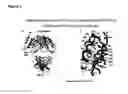 Fig. 04 - Immunoglobulins and variants directed against pathogenic microbes