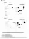 Fig. 24 - Immunoglobulins and variants directed against pathogenic microbes